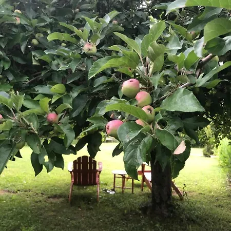 Le Relais Notre Dame 3*