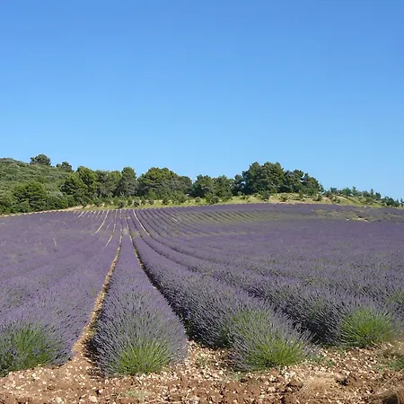 Le Relais Notre Dame 호텔