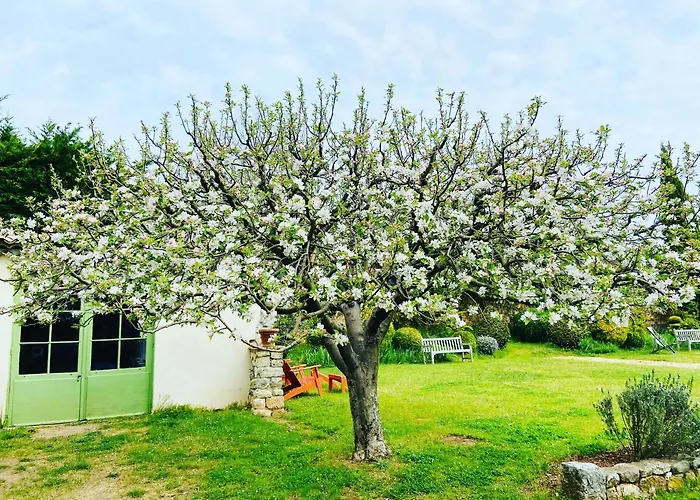 Le Relais Notre Dame 호텔