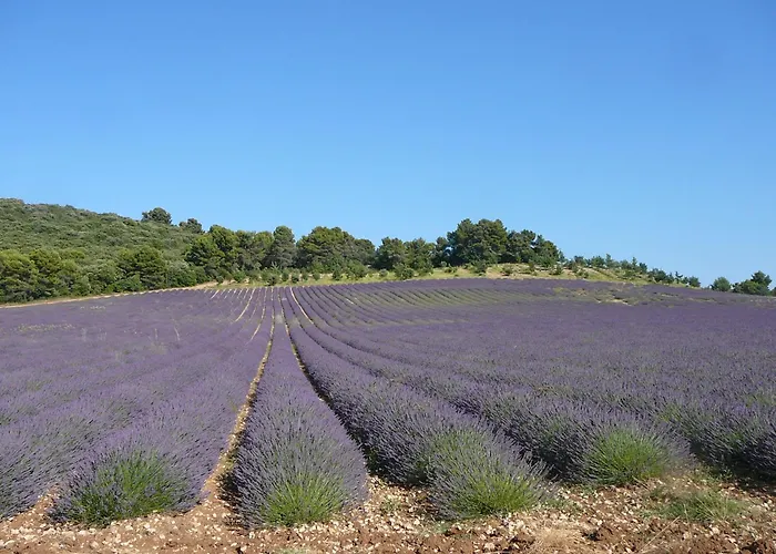 Le Relais Notre Dame 호텔