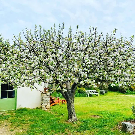 Le Relais Notre Dame Hotel